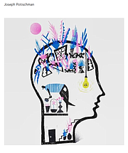 Logo of TheBaldingExperience.thehub.website